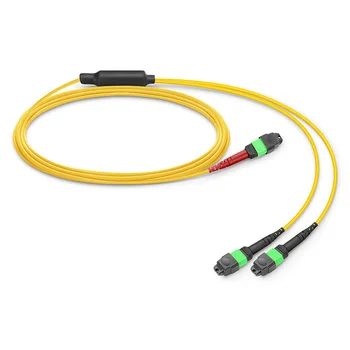 Адаптиране на MTP®-24 (женски конектор) към 2 x MTP®-12 (женски конектор) OS2 Однорежимный теглене кабели за преобразуване, 24 влакна, тип A, разбиване (OFNP)