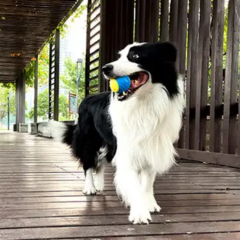 Играчка топка за кучета, Надуваем писклив топка за кучета, играчки за домашни любимци, за кучета средни