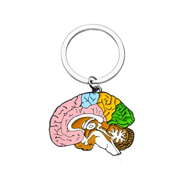 Медицински емайл мозъка ключодържател неврология Анатомия на психологически качества висулка ключодържател бижута за д-р на медицинските сестри