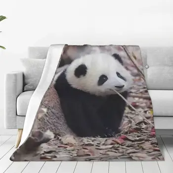 Одеяло с животни под формата на панда Хуахуа, супер топло декоративни покривки за легло за трайно декора на помещението за дълъг период